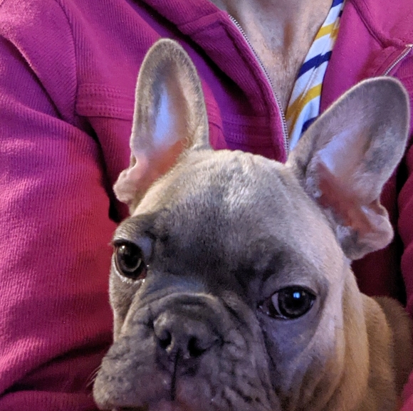 Meet your Posher, Tina - Picture 3 of 3